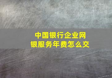 中国银行企业网银服务年费怎么交