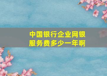 中国银行企业网银服务费多少一年啊