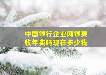 中国银行企业网银要收年费吗现在多少钱