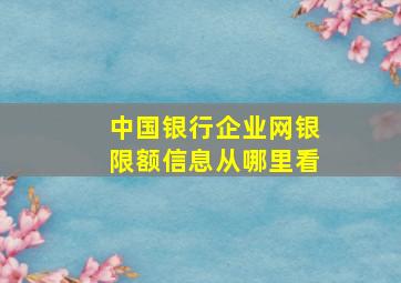 中国银行企业网银限额信息从哪里看