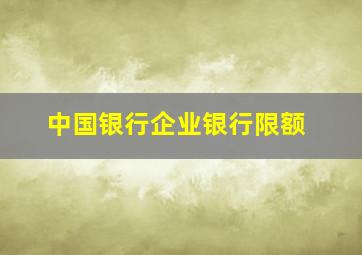 中国银行企业银行限额