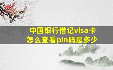 中国银行借记visa卡怎么查看pin码是多少