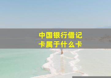 中国银行借记卡属于什么卡