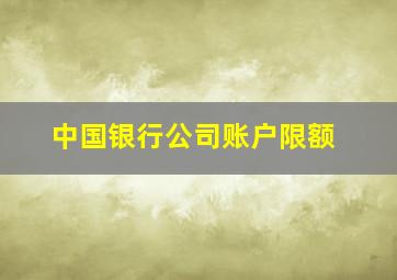 中国银行公司账户限额