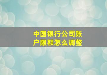 中国银行公司账户限额怎么调整