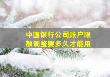 中国银行公司账户限额调整要多久才能用