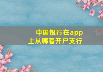 中国银行在app上从哪看开户支行