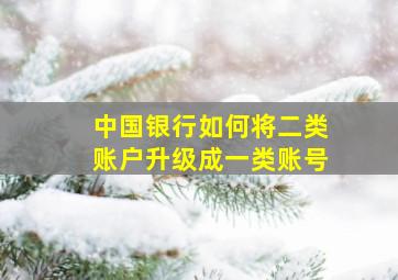 中国银行如何将二类账户升级成一类账号