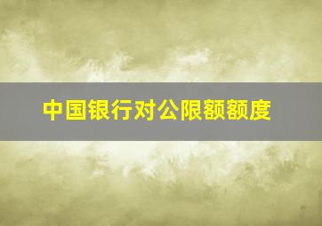 中国银行对公限额额度