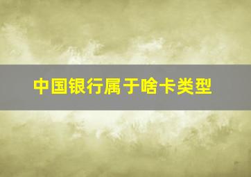 中国银行属于啥卡类型