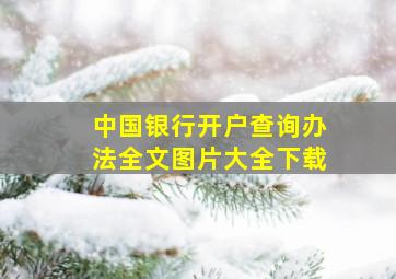 中国银行开户查询办法全文图片大全下载