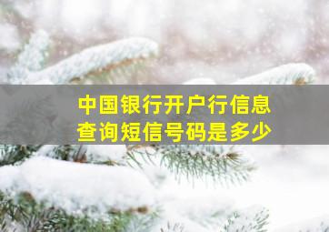 中国银行开户行信息查询短信号码是多少