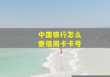 中国银行怎么查信用卡卡号