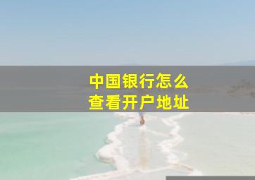 中国银行怎么查看开户地址