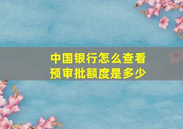 中国银行怎么查看预审批额度是多少