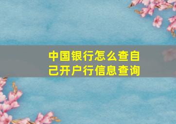 中国银行怎么查自己开户行信息查询