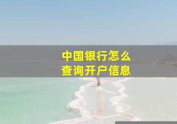 中国银行怎么查询开户信息