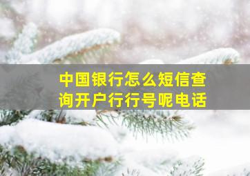 中国银行怎么短信查询开户行行号呢电话