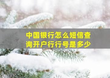 中国银行怎么短信查询开户行行号是多少