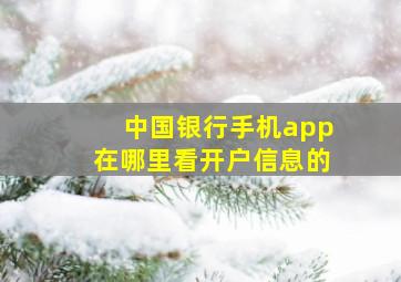 中国银行手机app在哪里看开户信息的