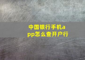 中国银行手机app怎么查开户行