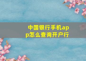 中国银行手机app怎么查询开户行