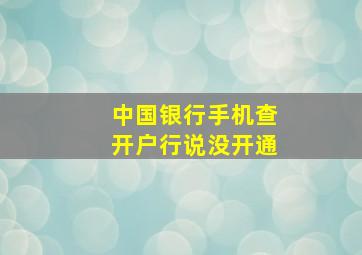 中国银行手机查开户行说没开通