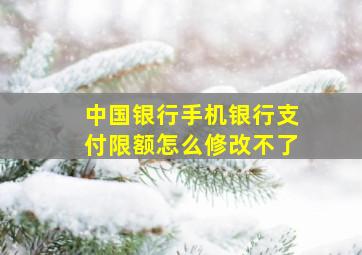 中国银行手机银行支付限额怎么修改不了