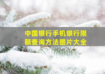 中国银行手机银行限额查询方法图片大全