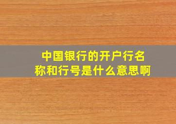 中国银行的开户行名称和行号是什么意思啊