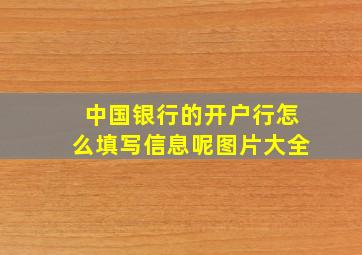 中国银行的开户行怎么填写信息呢图片大全