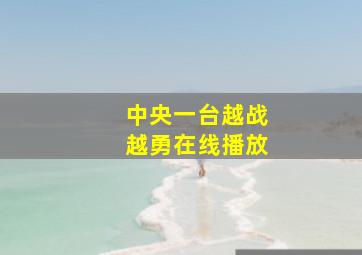 中央一台越战越勇在线播放