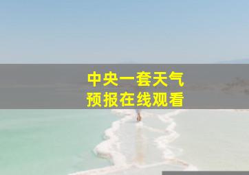 中央一套天气预报在线观看