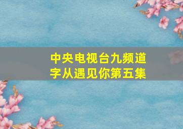 中央电视台九频道字从遇见你第五集