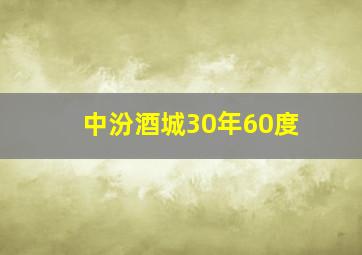 中汾酒城30年60度