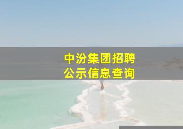 中汾集团招聘公示信息查询