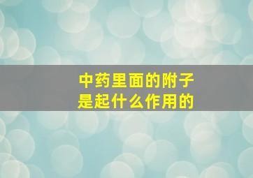 中药里面的附子是起什么作用的