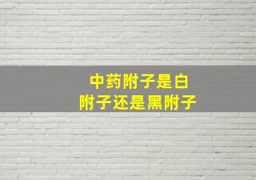 中药附子是白附子还是黑附子