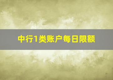 中行1类账户每日限额