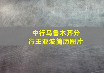 中行乌鲁木齐分行王亚波简历图片