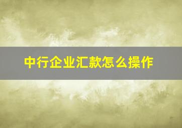 中行企业汇款怎么操作