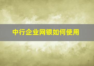 中行企业网银如何使用