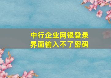 中行企业网银登录界面输入不了密码