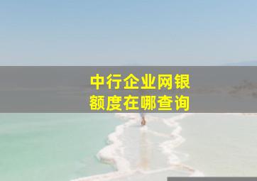 中行企业网银额度在哪查询