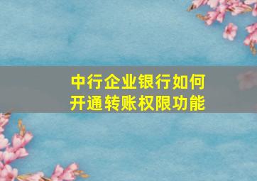 中行企业银行如何开通转账权限功能