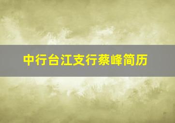 中行台江支行蔡峰简历