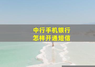 中行手机银行怎样开通短信