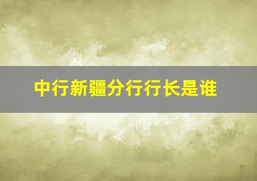 中行新疆分行行长是谁