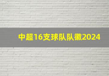 中超16支球队队徽2024