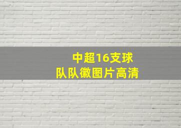 中超16支球队队徽图片高清